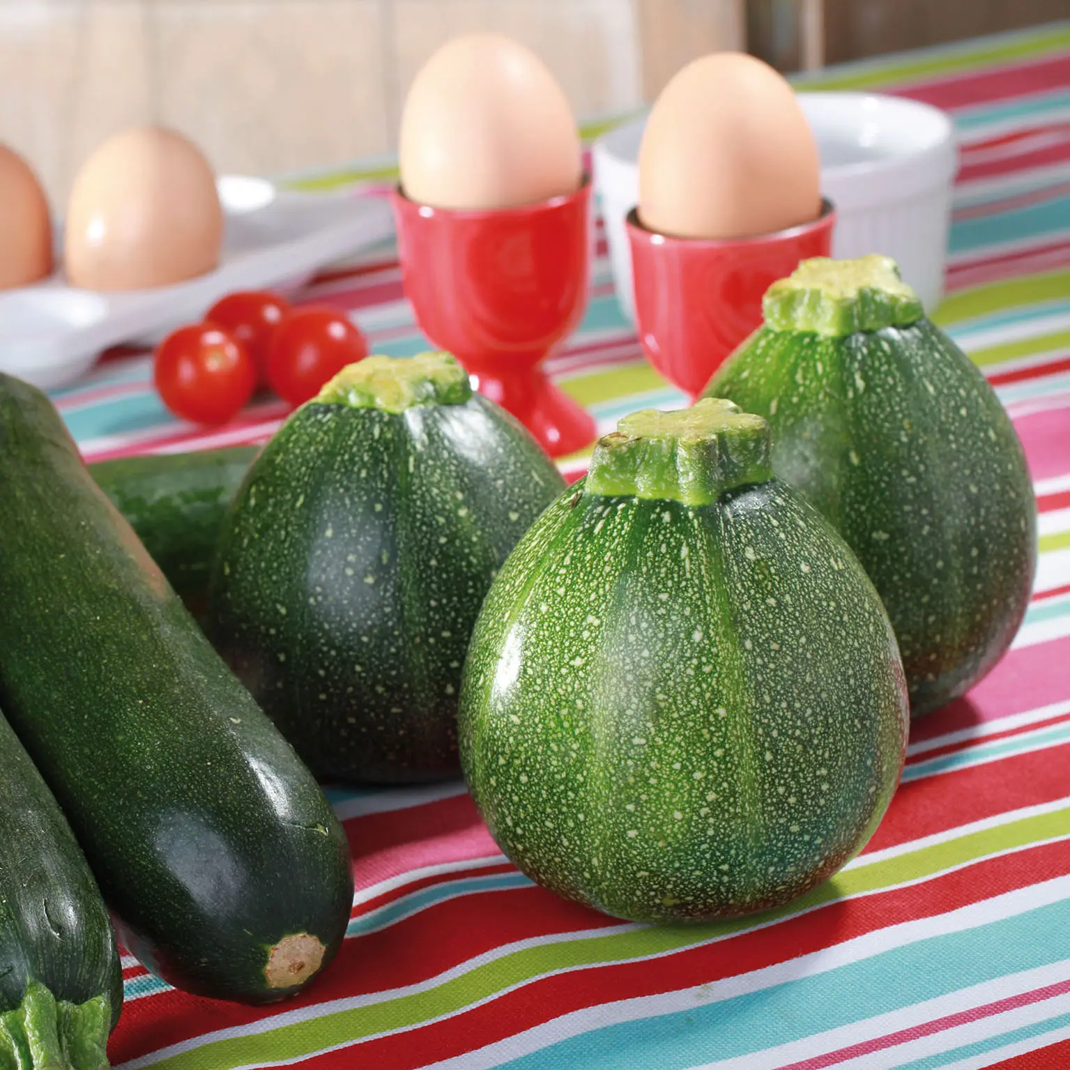 Courgette ronde de Nice F1 en plants – Cucurbita pepo Pot de 10 cm/11cm
