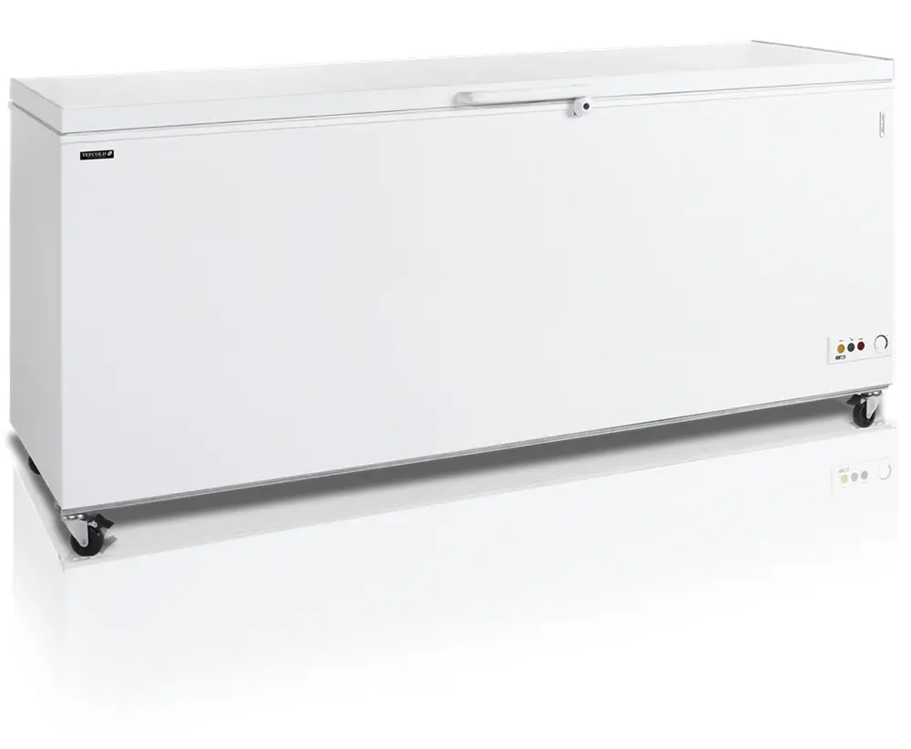Congélateur Coffre CF700 – TEFCOLD