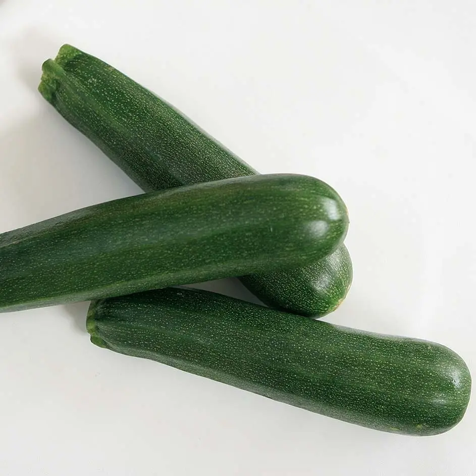 Courgette Kimber F1 en plants GREFFES en godet de 8/9cm