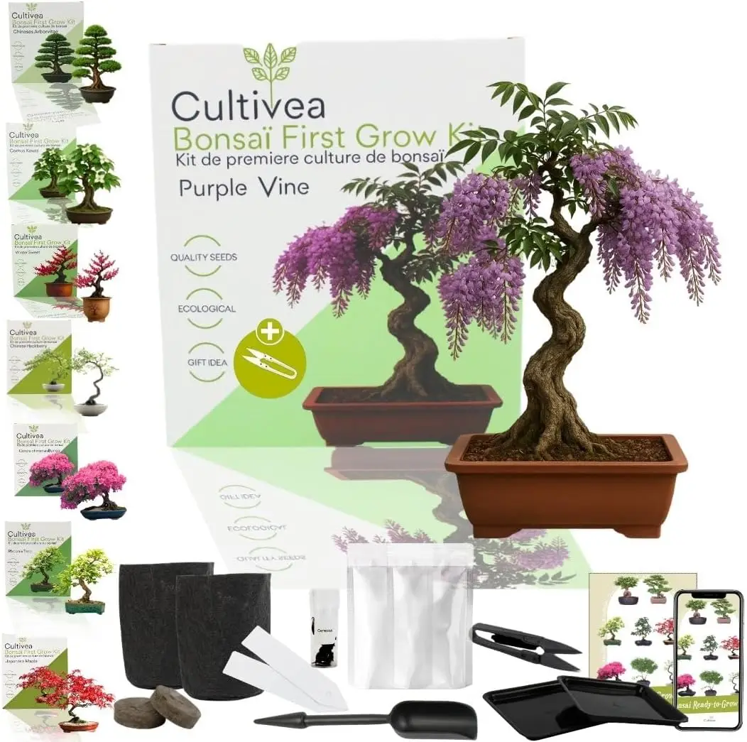 CULTIVEA® Kit First Bonsai Purple Vine – Kit de première culture de Bonsaï – Prêt à Pousser avec Graines & Accessoires