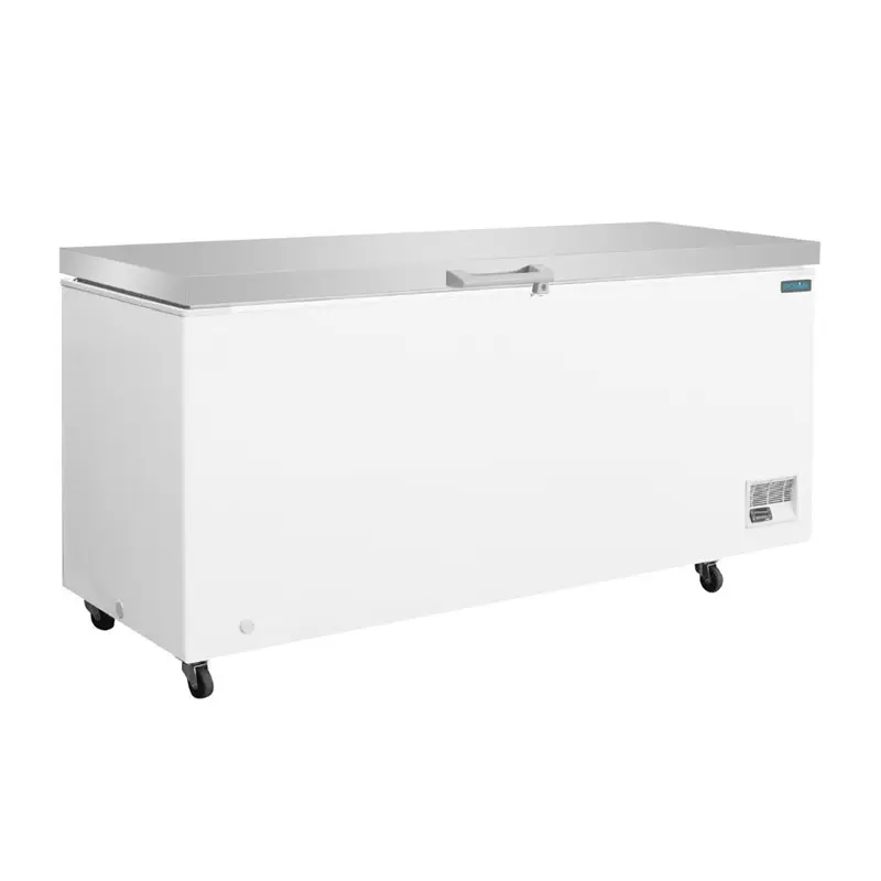 Congélateur Coffre avec Couvercle Inox Série G 581 Litres – Polar