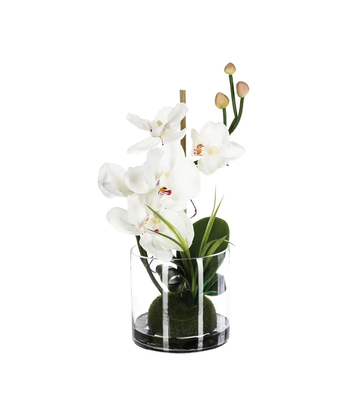 Composition florale d’Orchidées artificielles Vase en Verre D. 18 x H. 35 cm