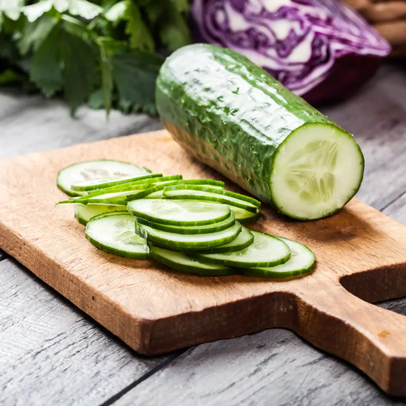 Concombre Dasher F1 – Cucumis sativus le sachet de 35 graines (1g)