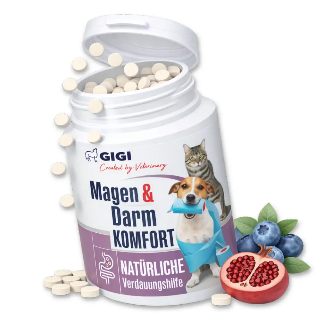 Confort Estomac & Intestin – aide efficacement en cas d’intolérances alimentaires 30 comprimés GIGI VET
