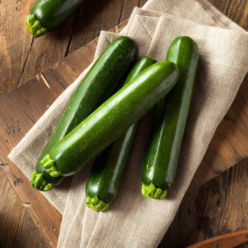 Courgette Brillante F1 en plant Bio Pot de 10 cm/11cm