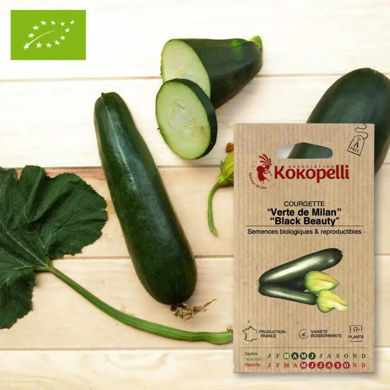 Courgette Verte de Milan- Graines bio à semer