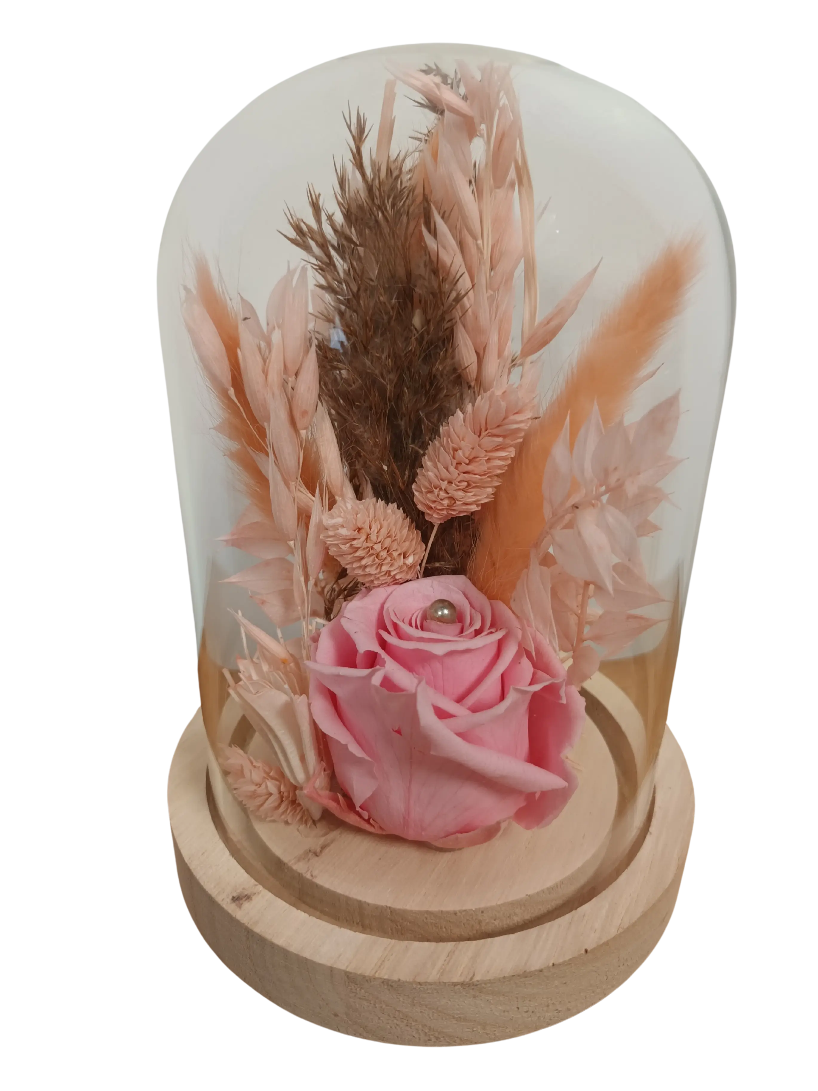Composition de Fleurs Séchées et Rose Eternelle sous Cloche Influence Medium Rose