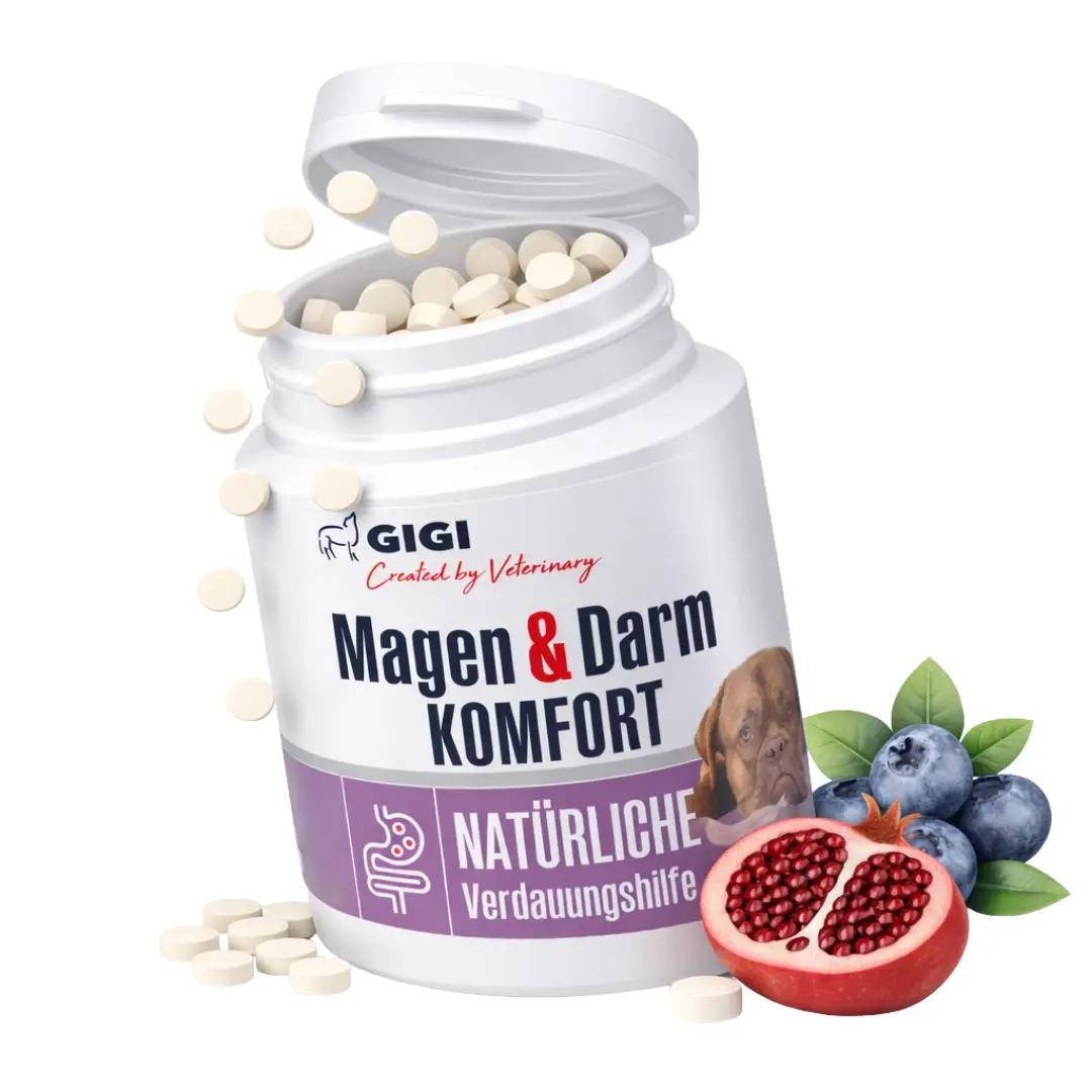 Confort Estomac & Intestin pour grands chiens au système digestif sensible 30 comprimés GIGI VET