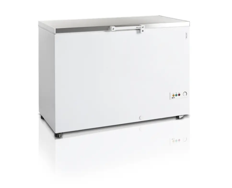 Congélateur Coffre FR405S SL Couvercle en Acier Inoxydable – 377 Litres – Tefcold