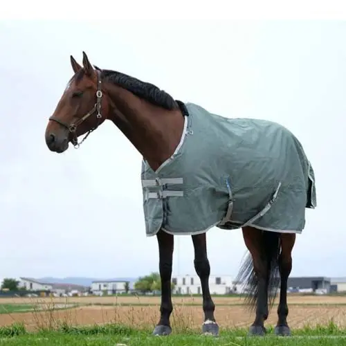 Couverture Chevaux Extérieur – Equithème – 0g Equithème Tailles Cheval Cheval