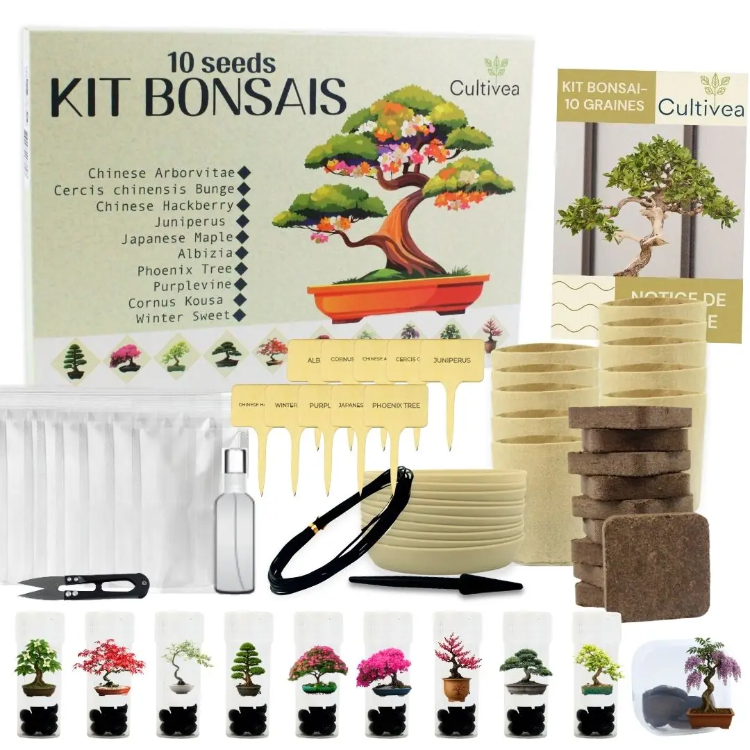 Cultivea – Kit 10 Bonsaïs à faire pousser avec accessoires | Idée Cadeau Noël
