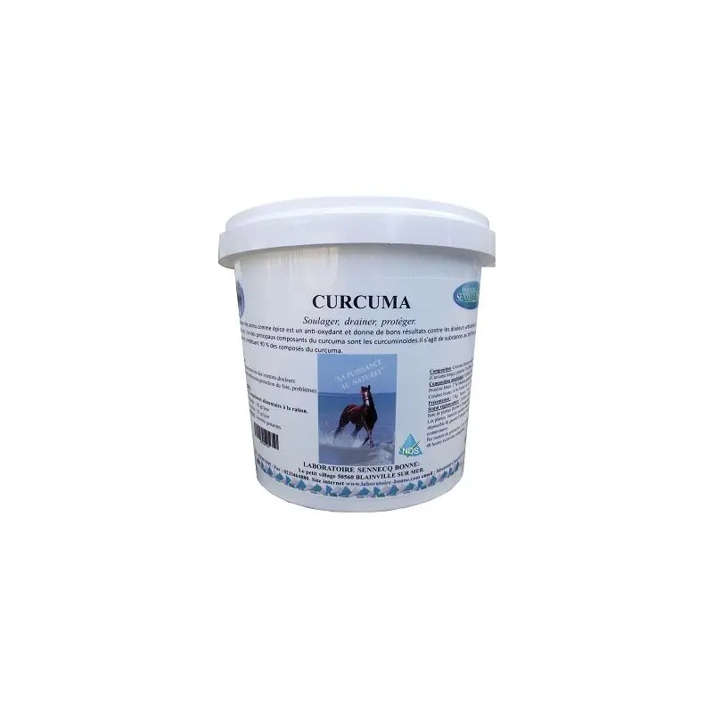 CURCUMA POUDRE – LABORATOIRE BONNE 1 kg