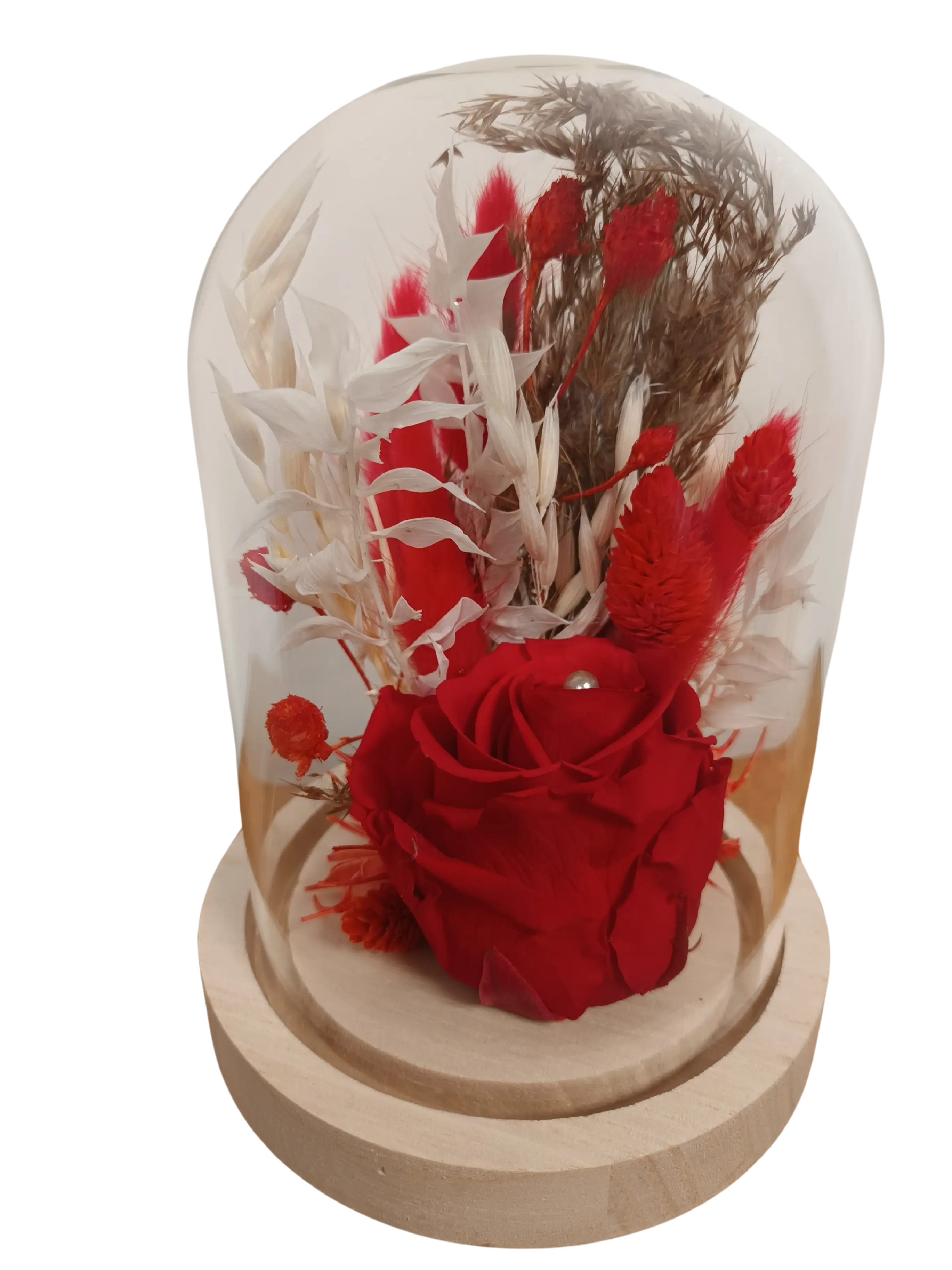 Composition de Fleurs Séchées et Rose Eternelle sous Cloche Influence Medium Rouge