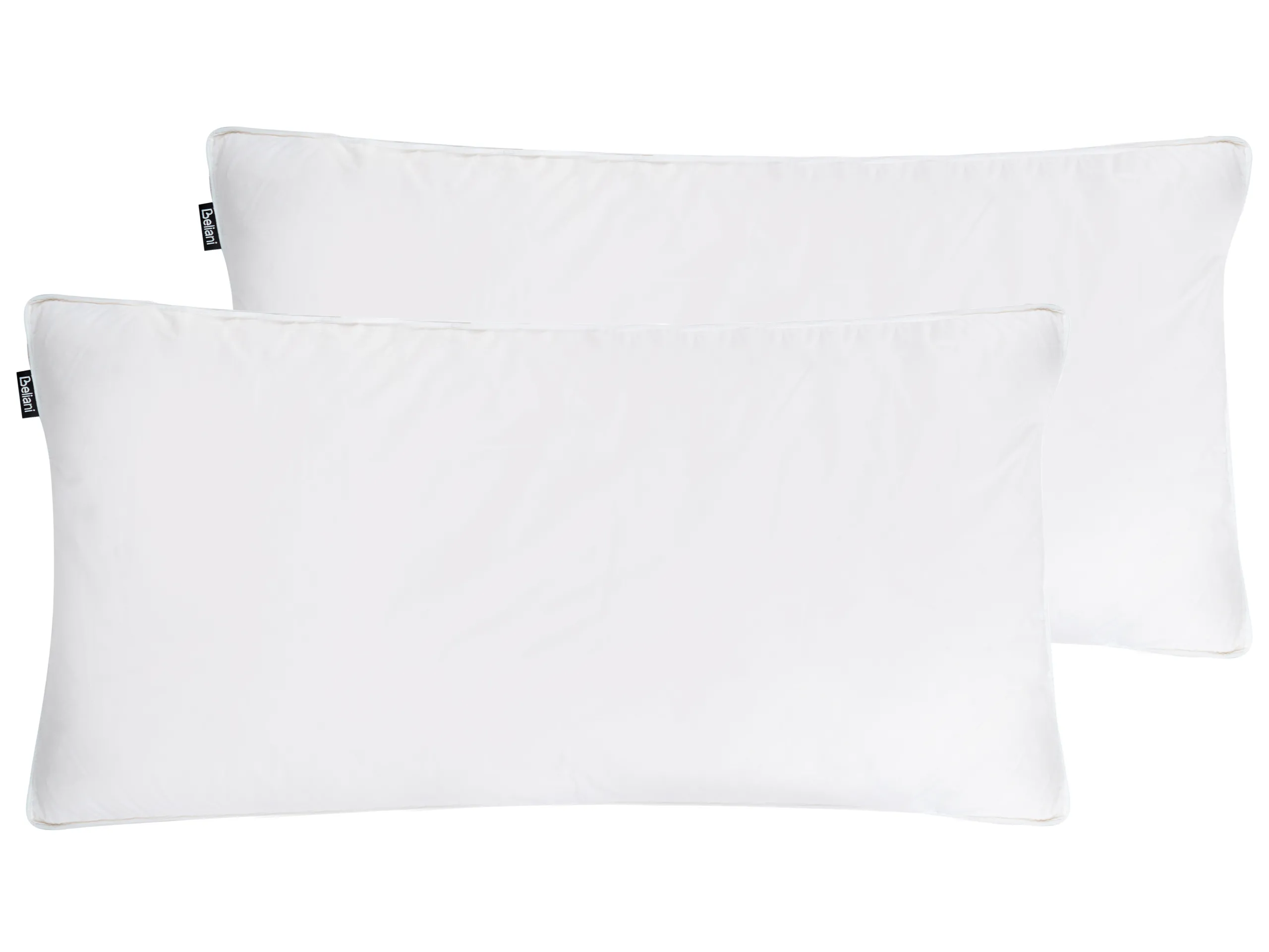 Conjunto de 2 almohadas VIHREN Baja Plumas y plumón de pato 40 x 80 cm Blanco