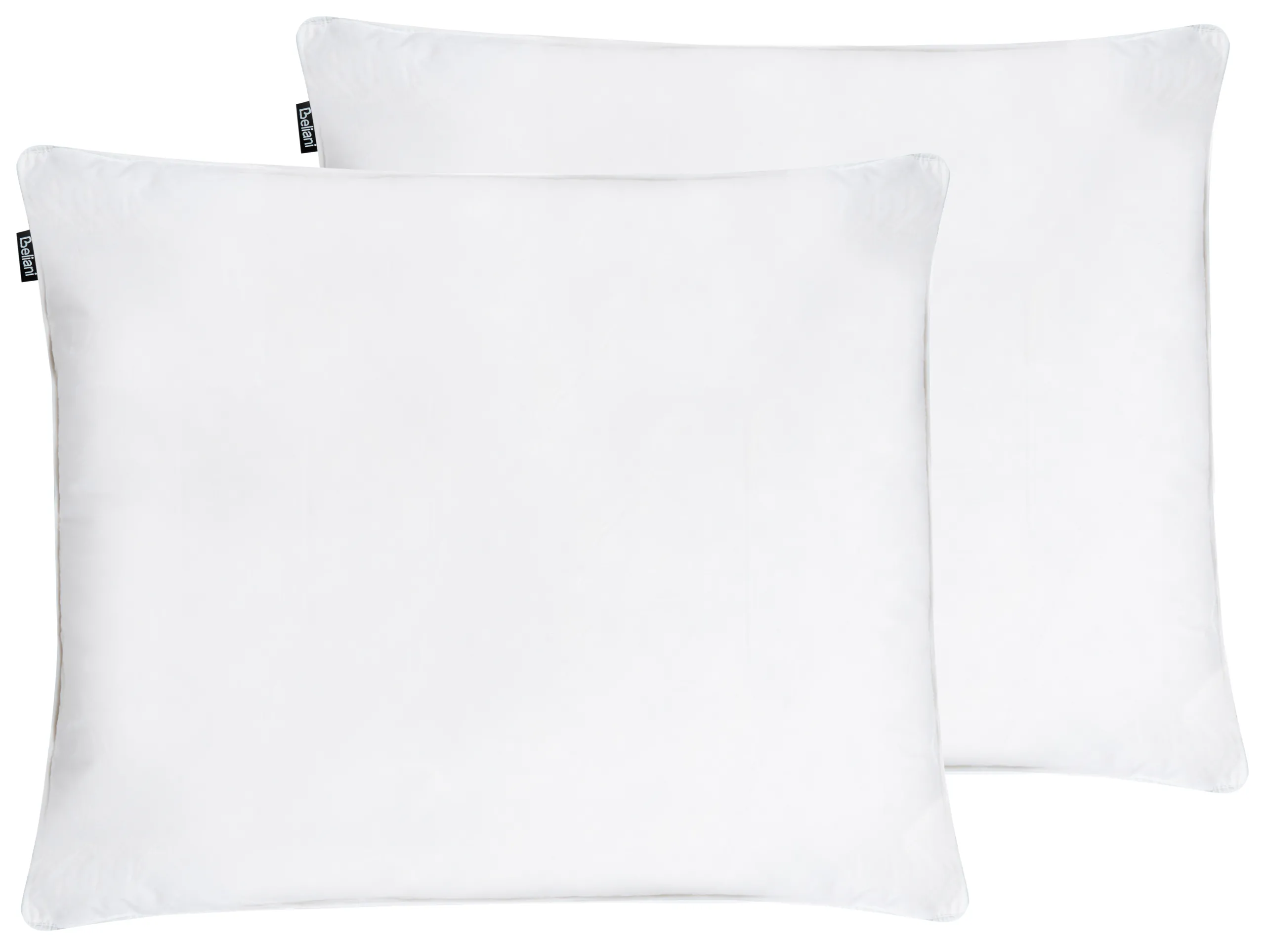 Conjunto de 2 almohadas VIHREN Baja Plumas y plumón de pato 50 x 60 cm Blanco