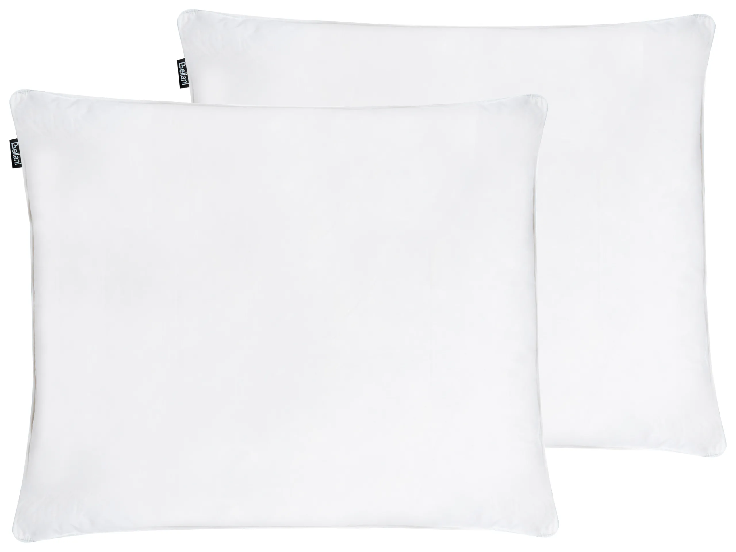 Conjunto de 2 almohadas FELDBERG Alta Plumas y plumón de pato 50 x 60 cm Blanco