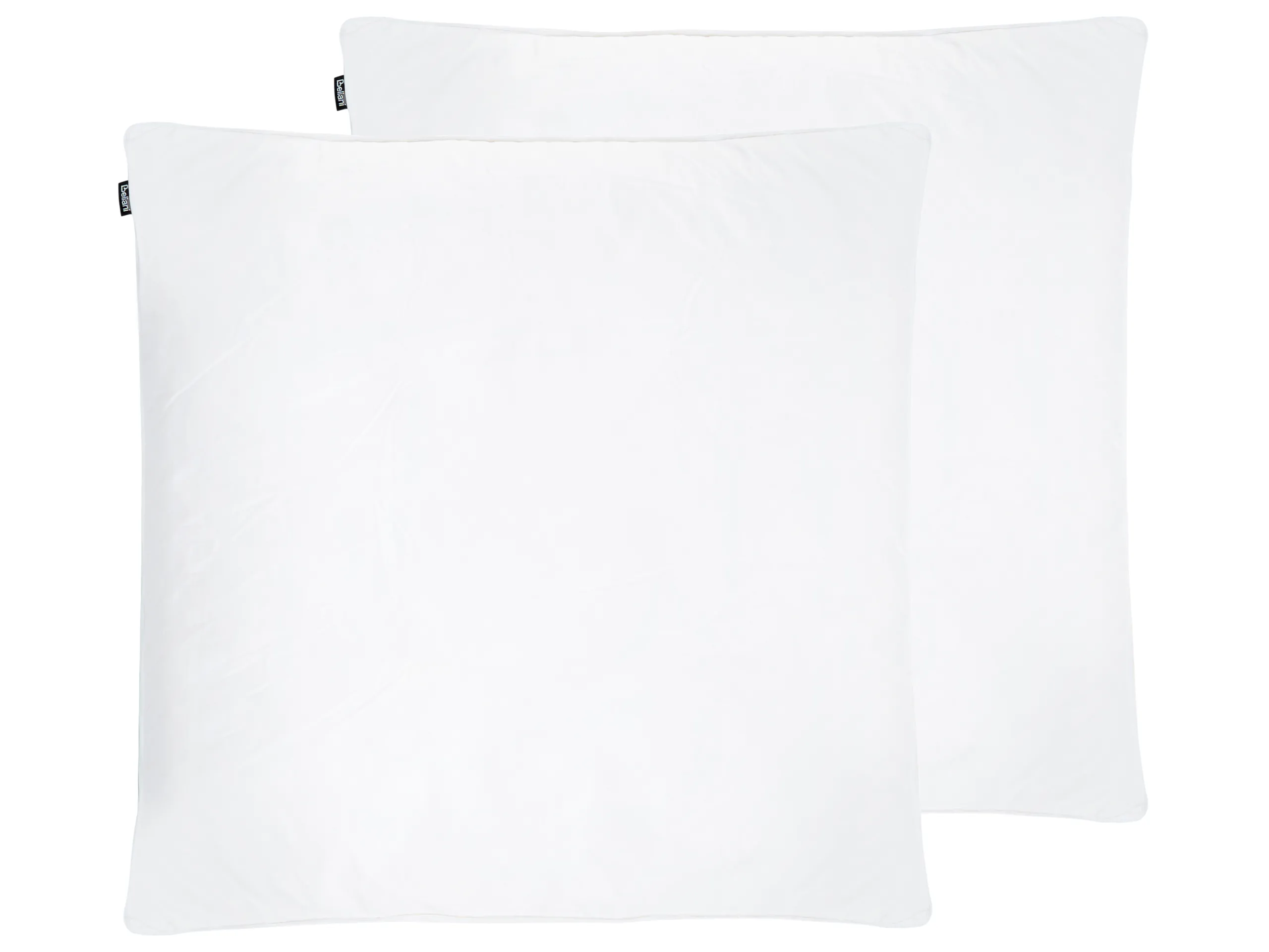 Conjunto de 2 almohadas FELDBERG Alta Plumas y plumón de pato 80 x 80 cm Blanco