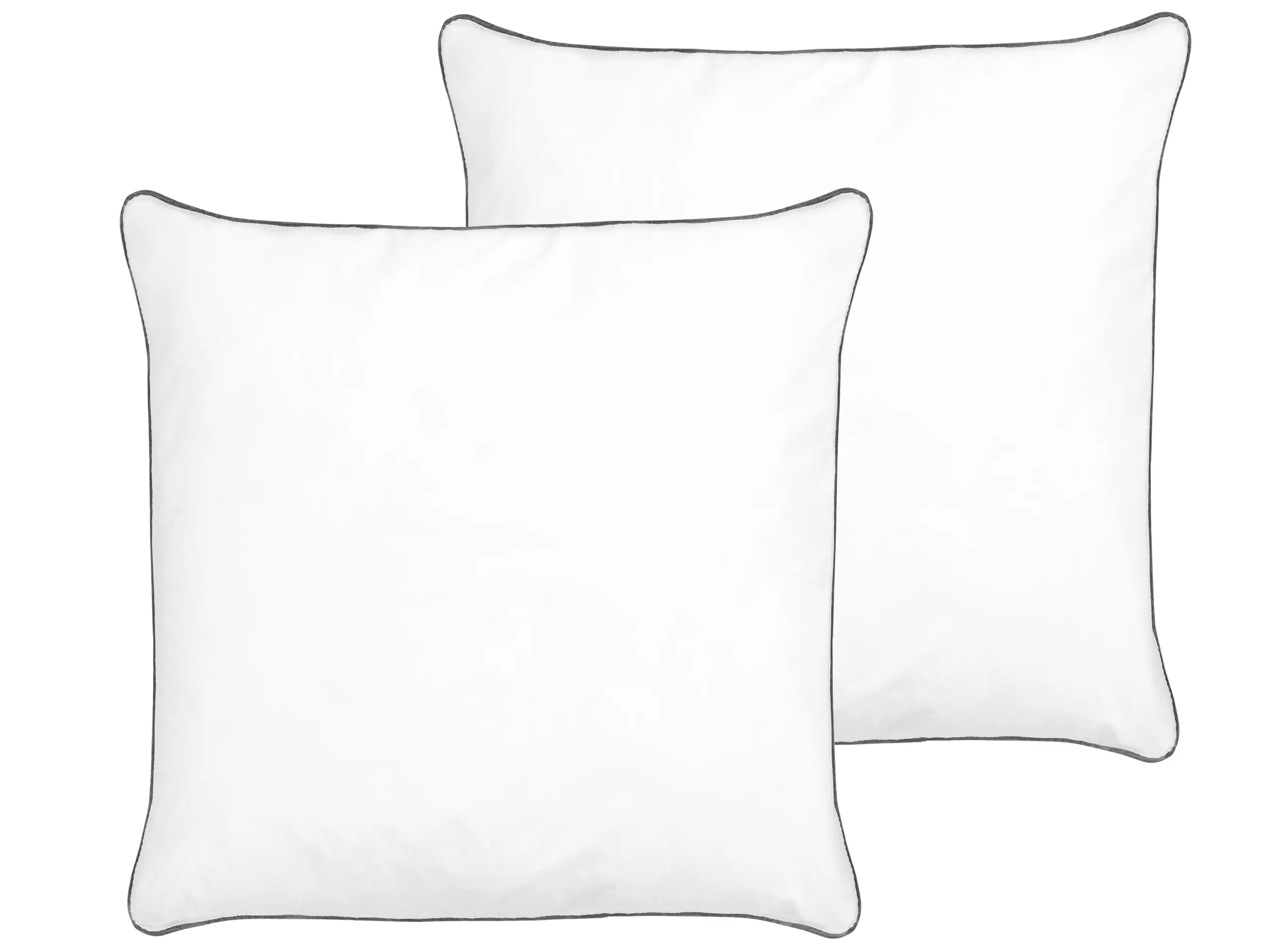 Conjunto de 2 almohadas PELISTER Baja Microfibra 80 x 80 cm Blanco