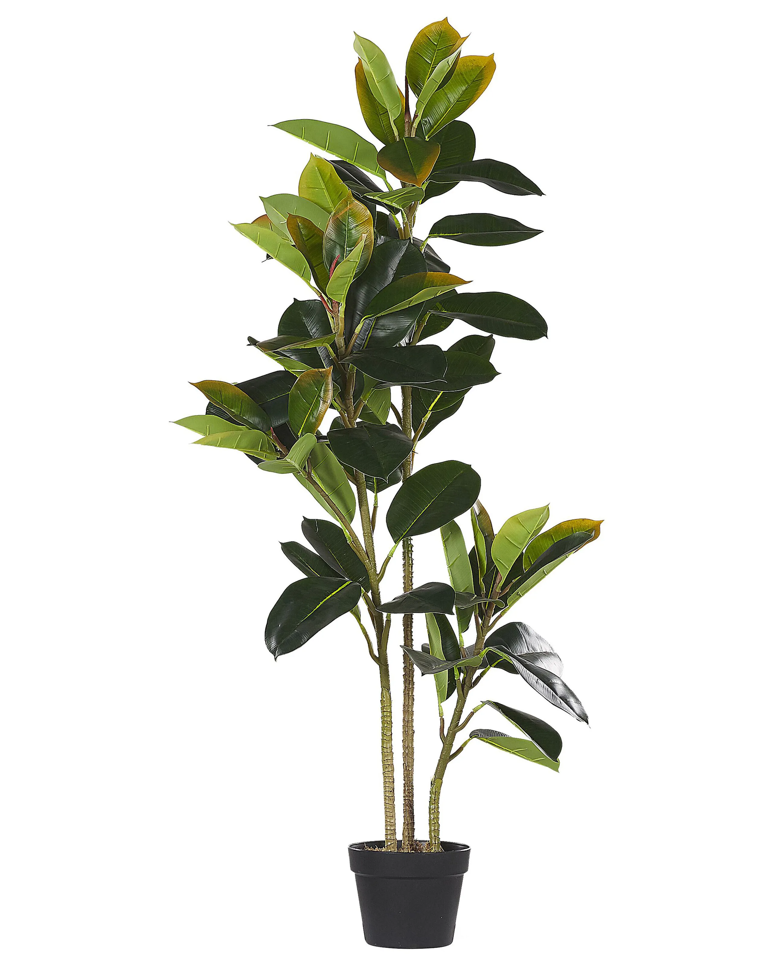 Artificial Plant FICUS ELASTICA 134 cm Green