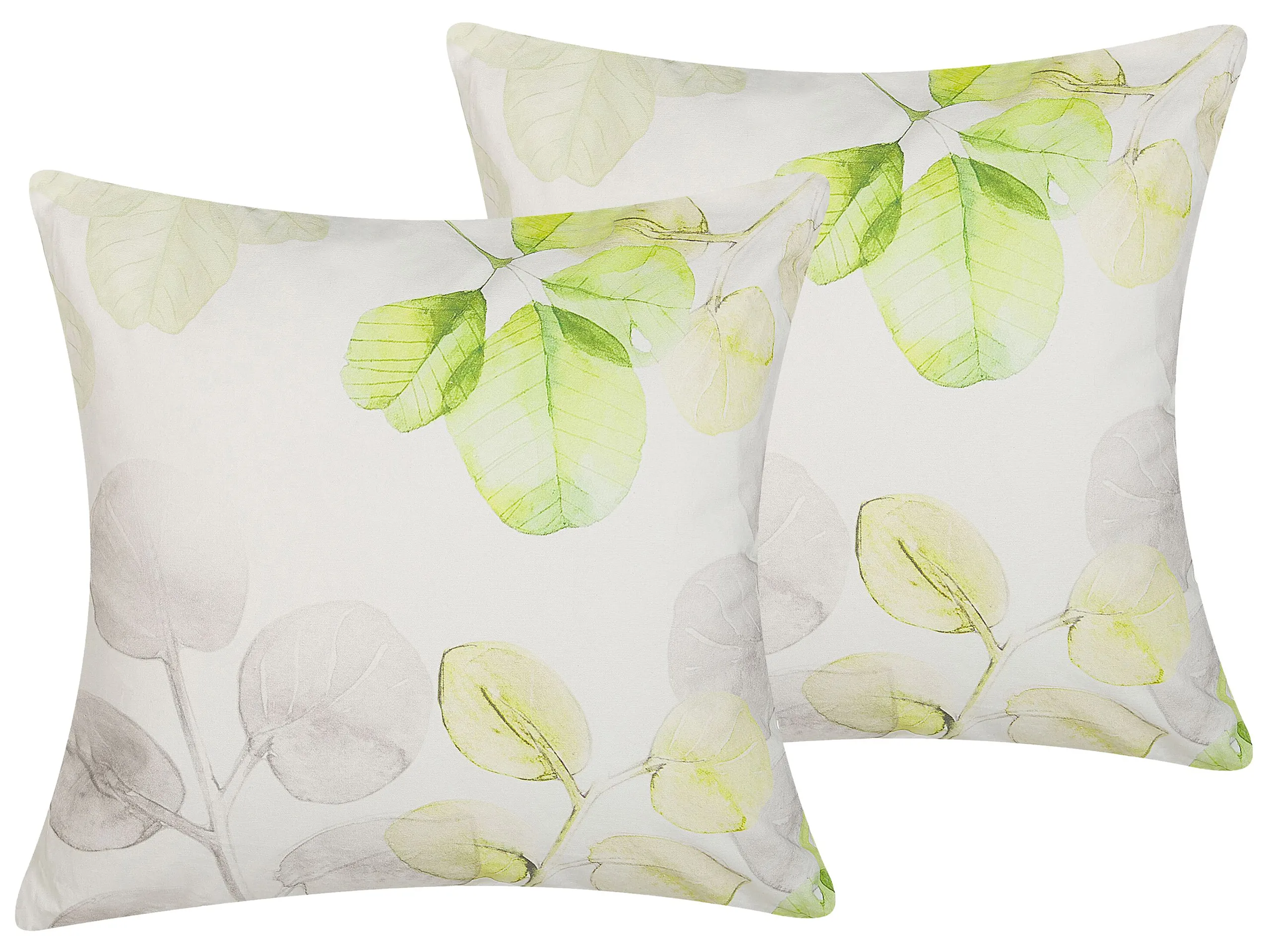 Conjunto de 2 cojines decorativos PEPEROMIA Algodón 45 x 45 cm Blanco Patrón de plantas