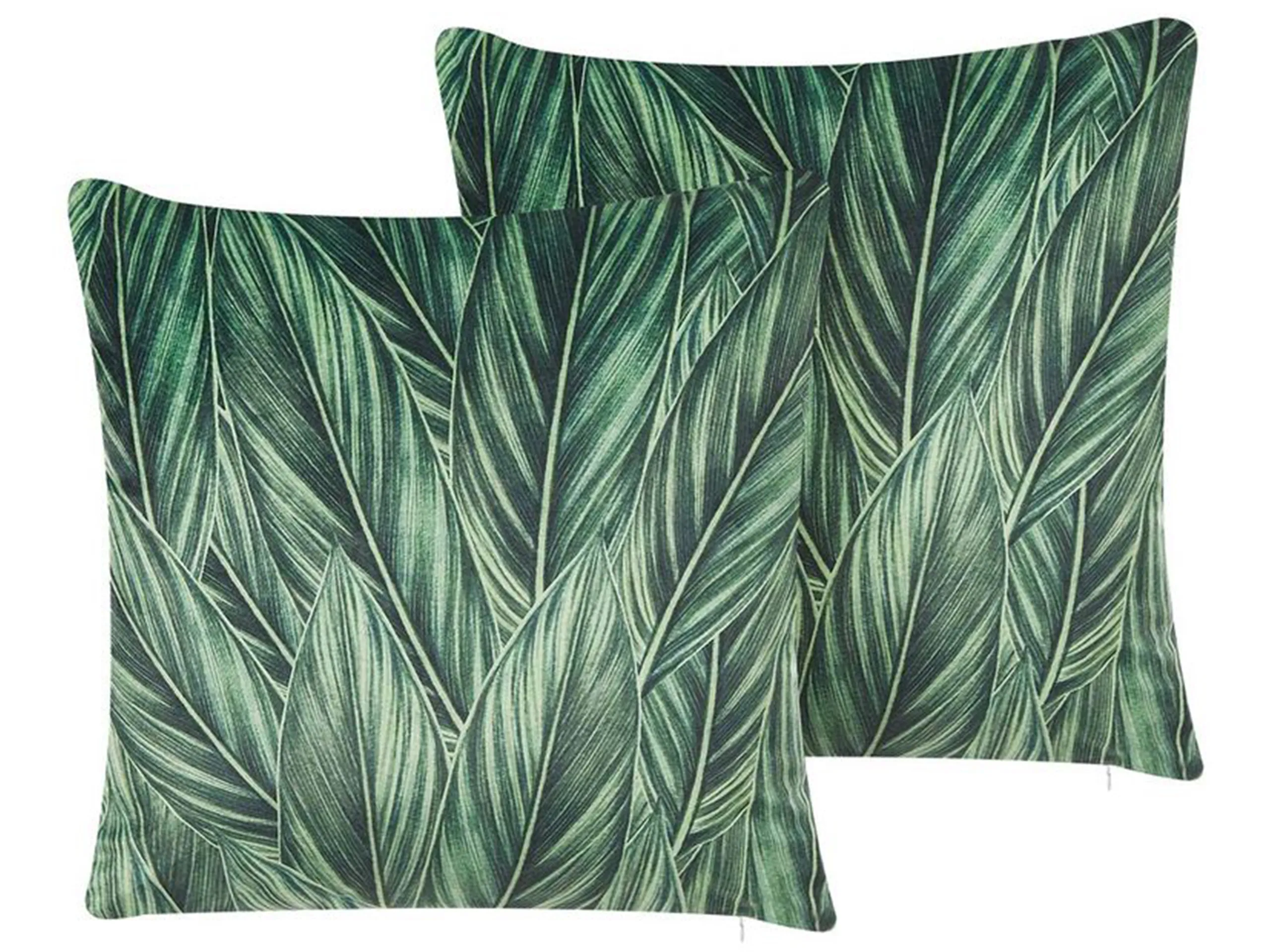 Conjunto de 2 cojines decorativos DIASCIA Terciopelo 45 x 45 cm Verde Patrón de plantas