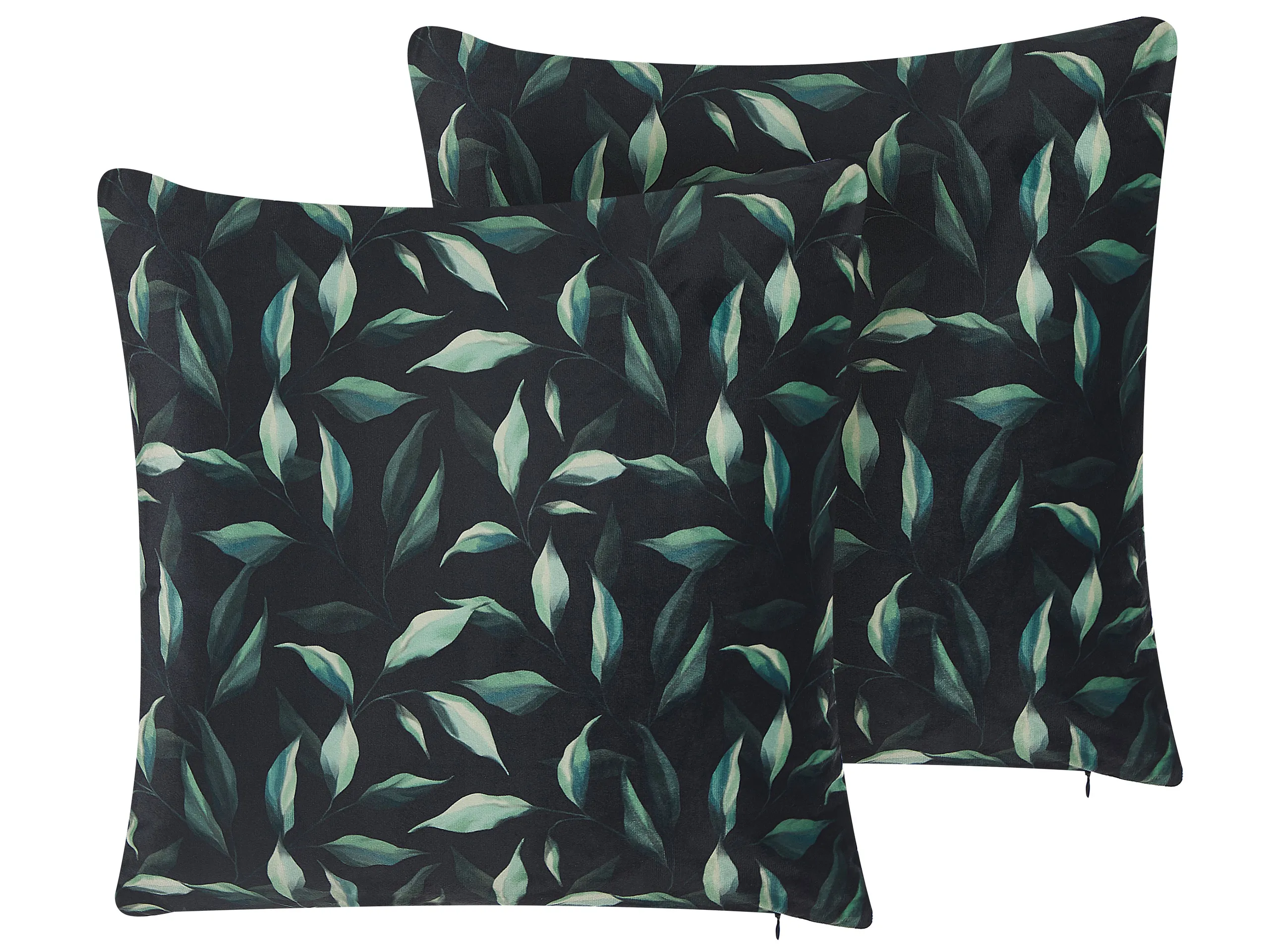 Conjunto de 2 cojines decorativos TOADFLAX Terciopelo 45 x 45 cm Verde Negro Patrón de plantas