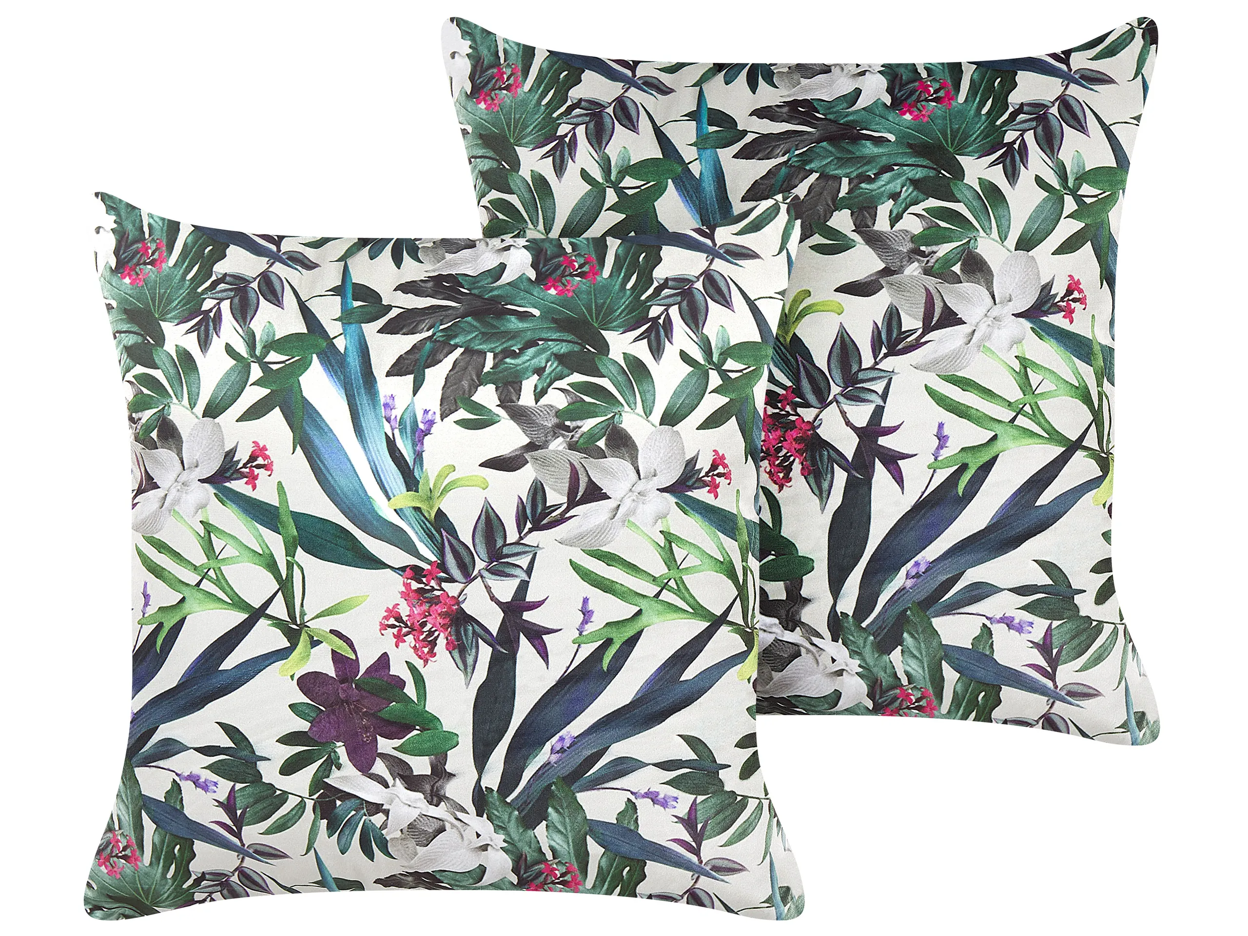 Conjunto de 2 cojines decorativos GASTERIA Terciopelo 45 x 45 cm Verde Patrón de plantas