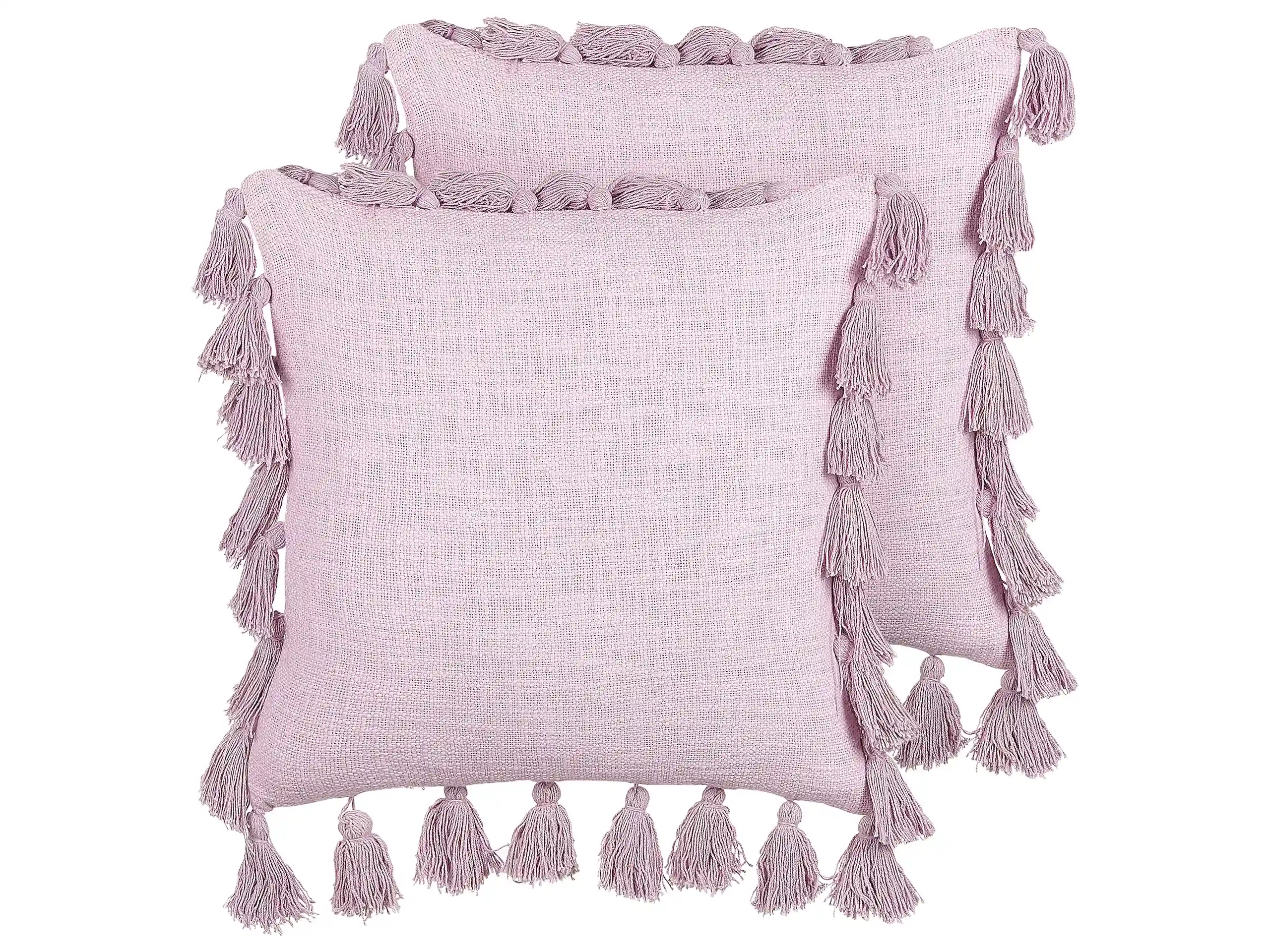 Conjunto de 2 cojines decorativos LYNCHIS Algodón 45 x 45 cm Rosa