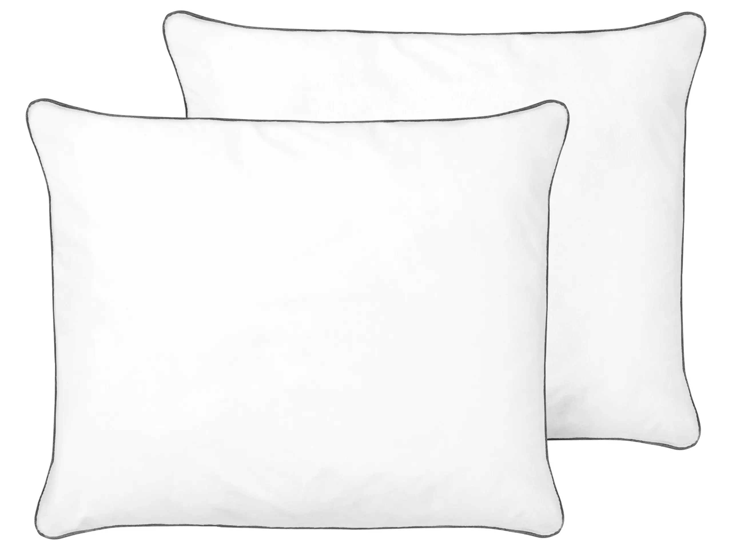 Conjunto de 2 almohadas PELISTER Alta Microfibra 50 x 60 cm Blanco