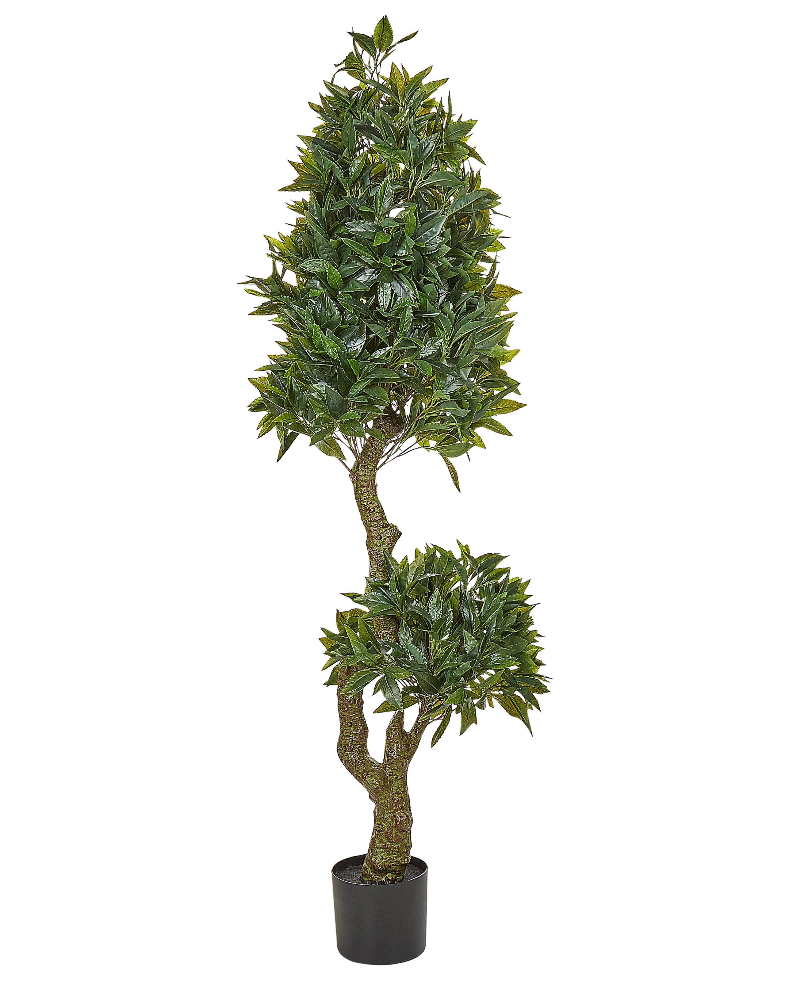 Artificial Plant LAURELE 160 cm Green