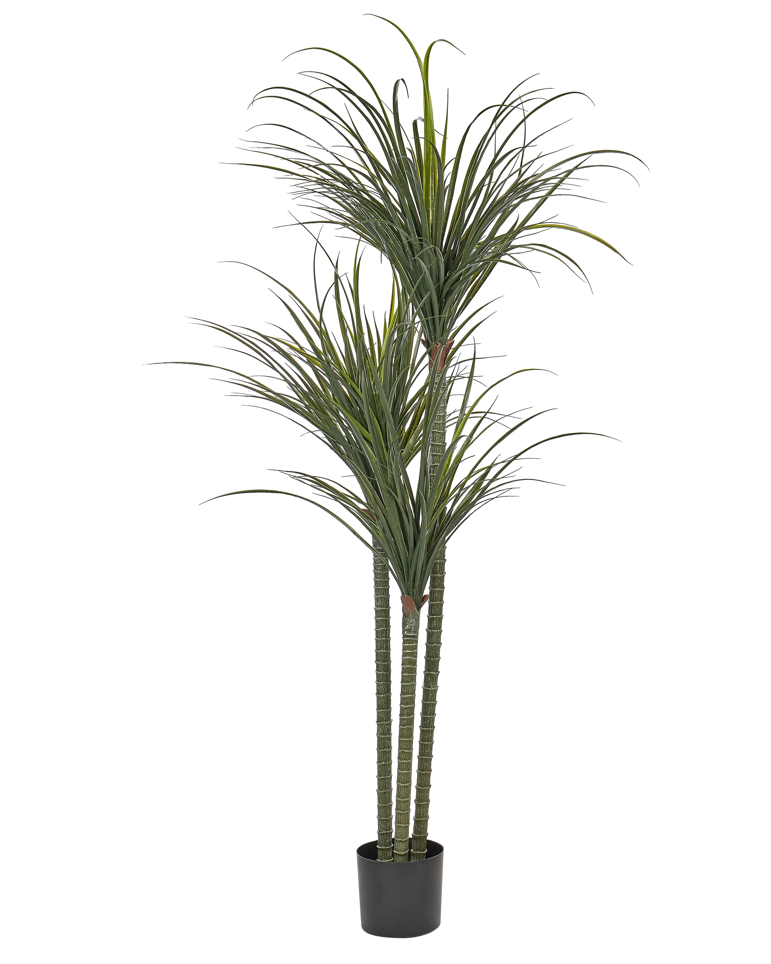 Artificial Plant DRACAENA ANITA 198 cm Green